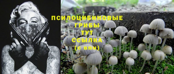 COCAINE Алексеевка