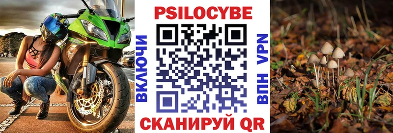 купить   Ивдель  Галлюциногенные грибы мухоморы 